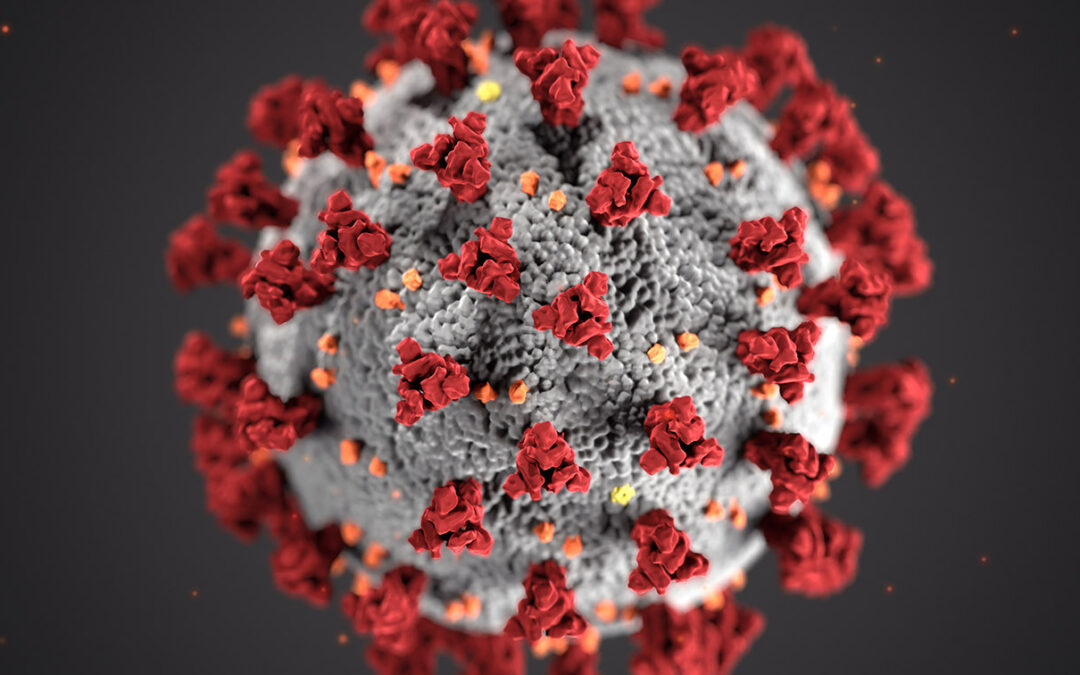 Filastrocca della quarantena